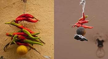 அத்தியாயம் 74 - திணை வாழ்வியலுக்கு முந்தைய தமிழ்ச் சமூகத்தைத் தேடி