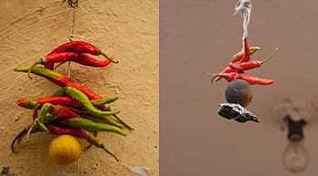 அத்தியாயம் 74 - திணை வாழ்வியலுக்கு முந்தைய தமிழ்ச் சமூகத்தைத் தேடி
