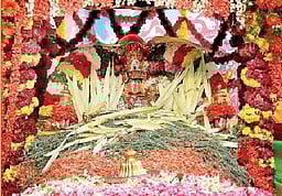 ஸ்ரீ பாஷ்யகா்களின் கந்தப்பூ பொடி உற்சவம்