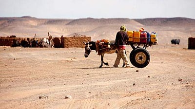 இந்த வாரம் கவிதைமணி தலைப்பு 'நெடுவாழ்வின் நினைவு'!