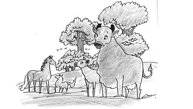 நுனிப்புல்!