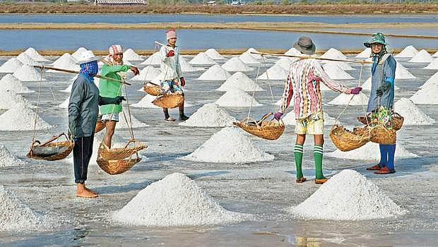 கடலும் உப்பும்!