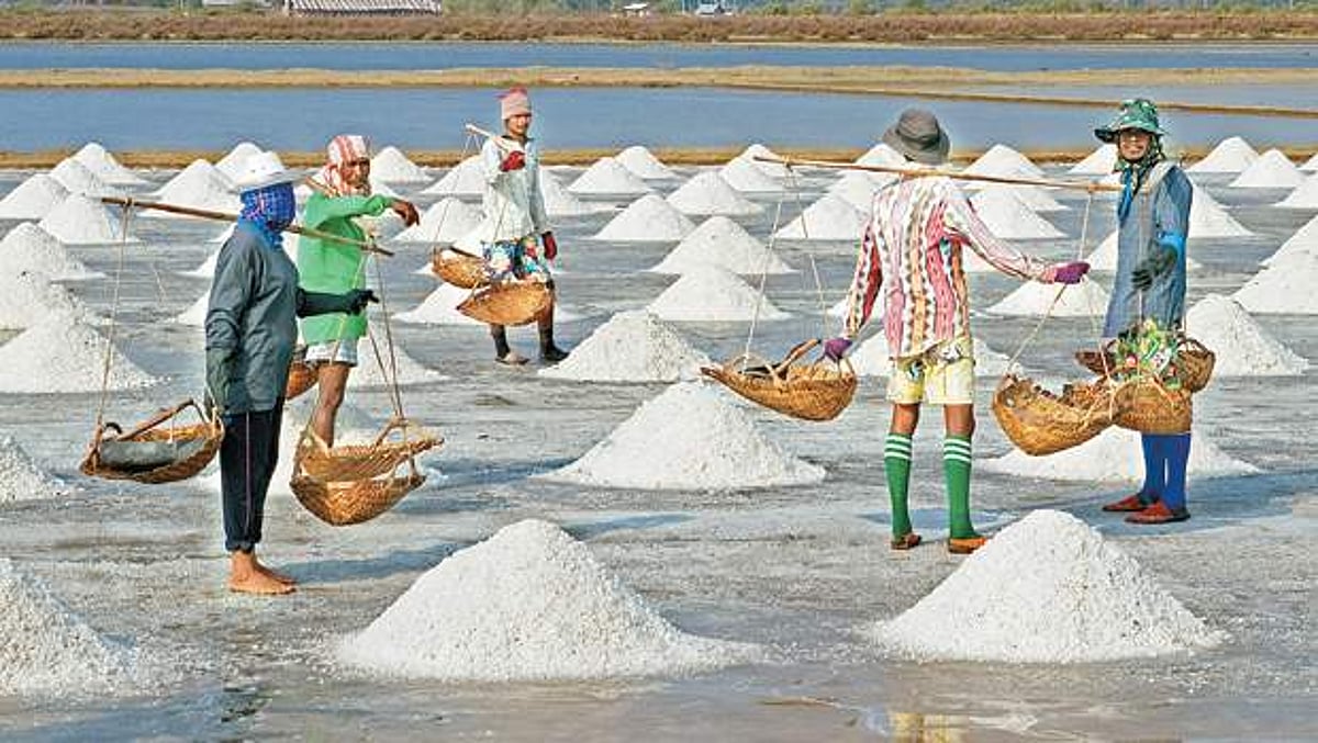 கடலும் உப்பும்!