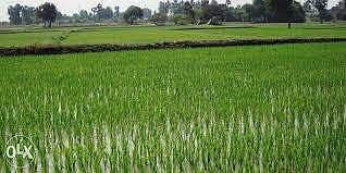 விளை நிலங்களின் வழிகாட்டு மதிப்பை மூன்று மடங்காக உயர்த்த தமிழக அரசுக்கு தொழில்நுட்ப வல்லுனர்கள் வேண்டுகோள்