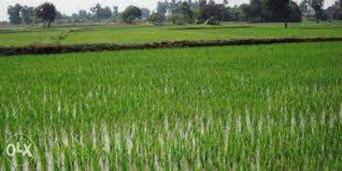 விளை நிலங்களின் வழிகாட்டு மதிப்பை மூன்று மடங்காக உயர்த்த தமிழக அரசுக்கு தொழில்நுட்ப வல்லுனர்கள் வேண்டுகோள்