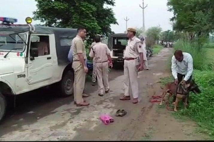 News image
