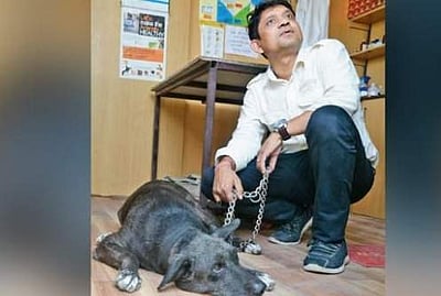 புராரி கூட்டுத்தற்கொலை: எஜமானர்களின் இழப்பைத் தாங்க இயலாத வளர்ப்பு நாய் ஹார்ட் அட்டாக்கில் மரணம்!