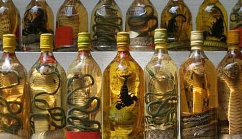 பாம்பு ஒயின் தயாரிக்க முயற்சித்த சீனப்பெண் பாம்புக் கடியால் மரணம்!