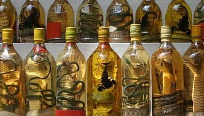 பாம்பு ஒயின் தயாரிக்க முயற்சித்த சீனப்பெண் பாம்புக் கடியால் மரணம்!