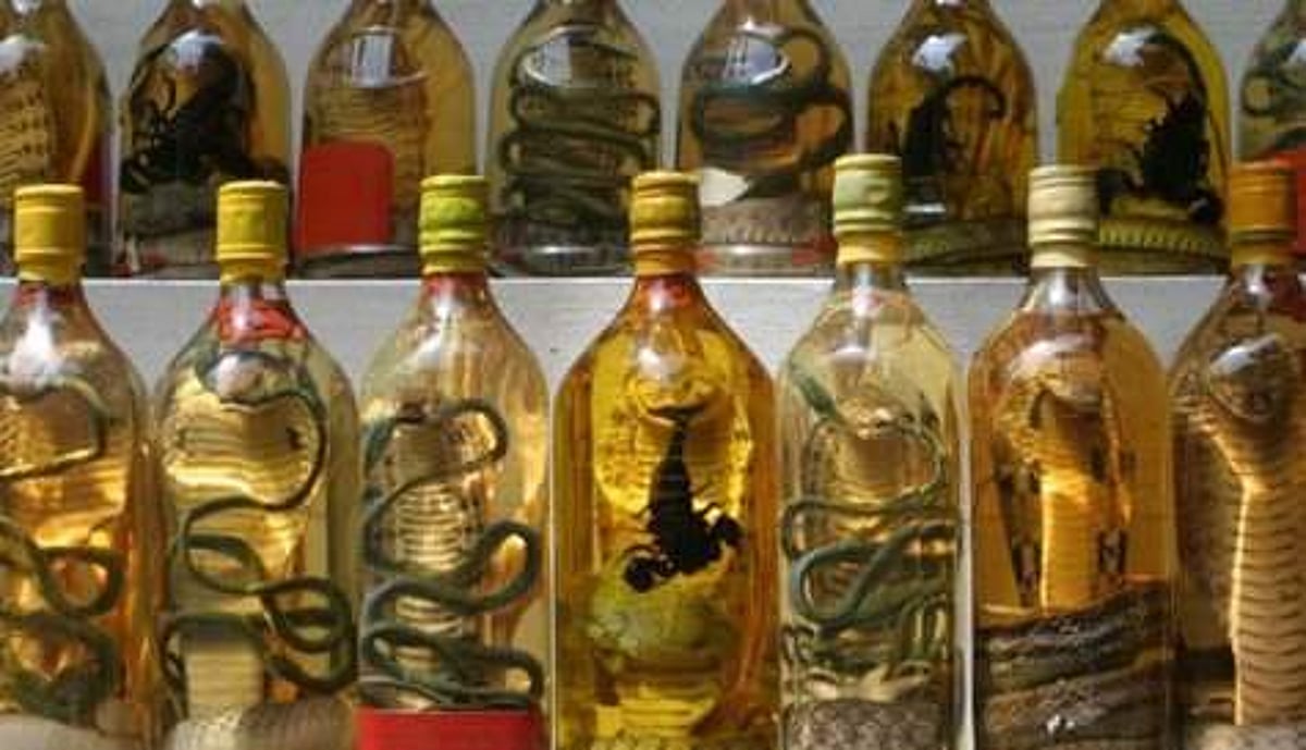 பாம்பு ஒயின் தயாரிக்க முயற்சித்த சீனப்பெண் பாம்புக் கடியால் மரணம்!