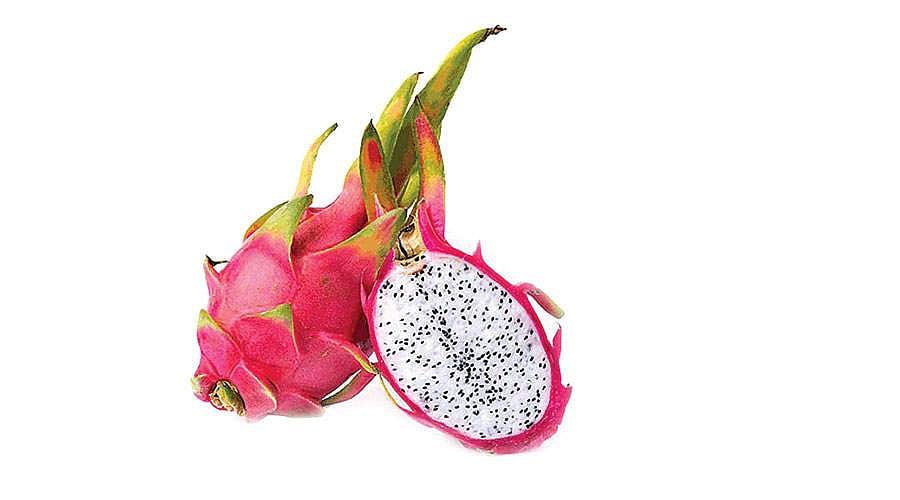 பிரபலமாகி வரும் டிராகன் பழம்!