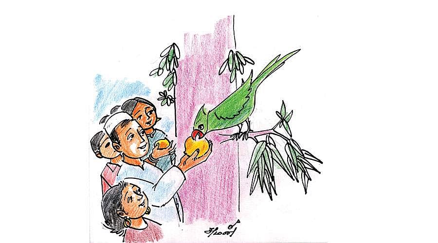 மாம்பழத்தின் பின்னணி!: ஞானக்கிளி!