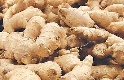 இஞ்சியை தினமும் உணவில் சேர்க்க வேண்டியதன் 10 காரணங்கள்!