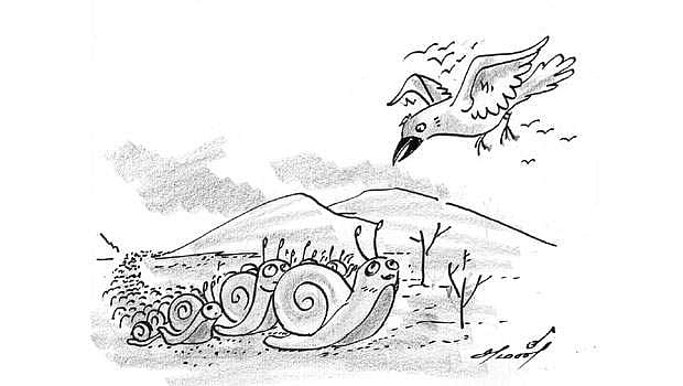 பொன்மொழிகள்!