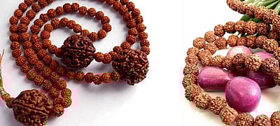 ருத்ராக்‌ஷம் குறித்து இதுவரை நீங்கள் அறிந்திராத சில சுவாரஸ்யங்கள்...