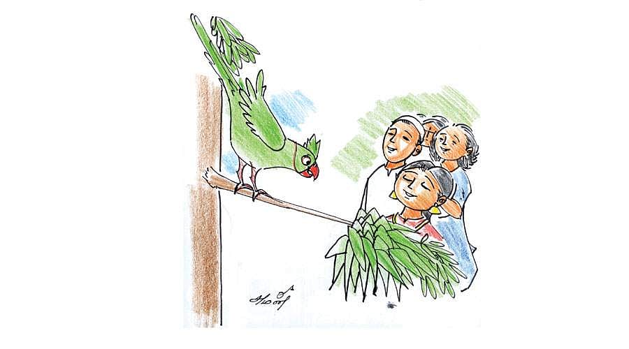 ஞானக்கிளி! - 13: பூவாக மணக்கும்!