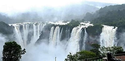 காணத் தெவிட்டாத காட்சி... கனமழையால் நுங்கும், நுரையுமாகப் பொங்கி ஆர்ப்பரிக்கும் கர்நாடகத்தின் ஜோக் நீர்வீழ்ச்சி! 