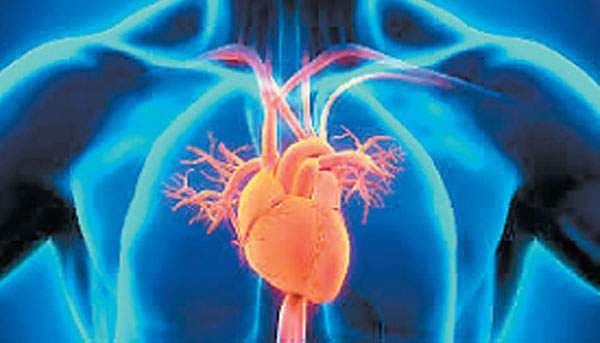 ஆயுள் காக்கும் ஆயுர்வேதம்: இதயத்தைச் சீராக்க... எல்லாம் சீராகும்!