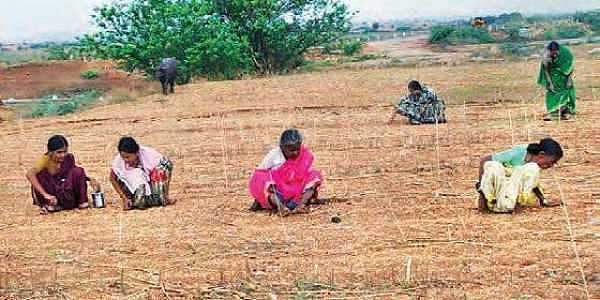 ராயலசீமாவில் தொடரும் வைரவேட்டை!