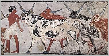 அத்தியாயம் 79 - திணை வாழ்வியலுக்கு முந்தைய தமிழ்ச் சமூகத்தைத் தேடி