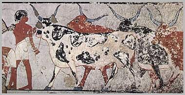 அத்தியாயம் 79 - திணை வாழ்வியலுக்கு முந்தைய தமிழ்ச் சமூகத்தைத் தேடி