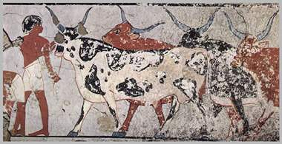 அத்தியாயம் 79 - திணை வாழ்வியலுக்கு முந்தைய தமிழ்ச் சமூகத்தைத் தேடி