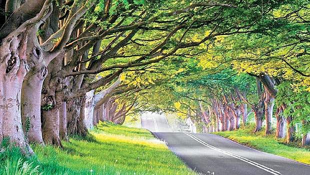 சிறுவர் பாடல்!: சாலை!