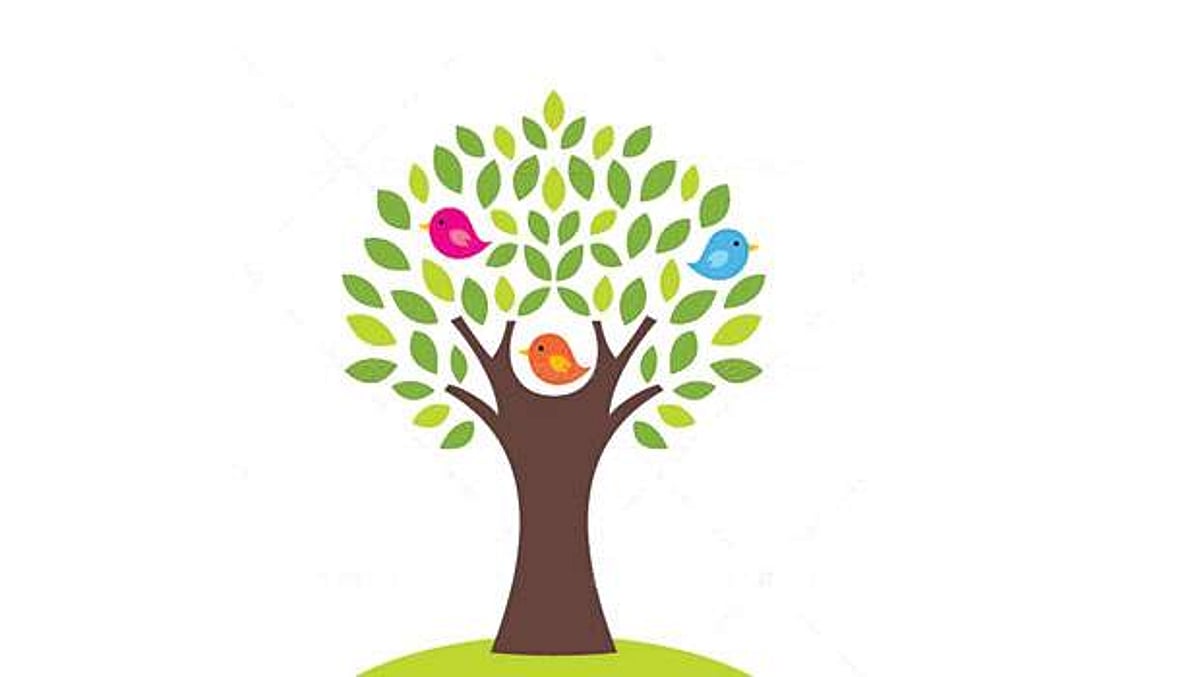 மரங்களின் வரங்கள்!