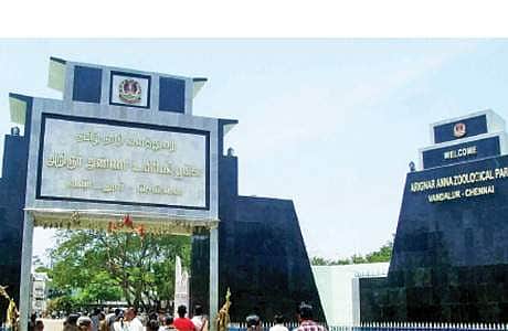 News image