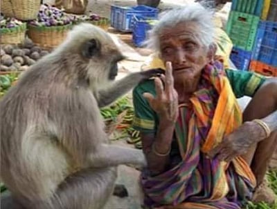 பாட்டியின் வேதனை குரங்குக்குப் புரிந்த அளவுக்கு கூட மனிதர்களுக்குப் புரியவில்லை, என்ன மாதிரியான உலகம் இது?!