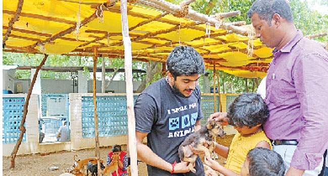 செல்லப் பிராணிகள் வளர்ப்பில் அதிகரிக்கும் ஆர்வம்