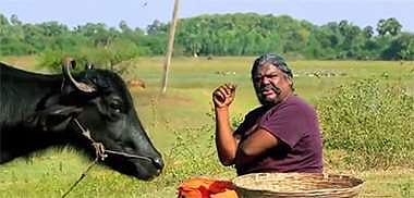 4. பூமிப்பற்று