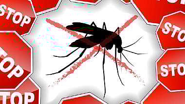 15. டெங்கு காய்ச்சல் 6 - டெங்கு காய்ச்சலுக்கான பரிசோதனைகள் - சிகிச்சைகள்