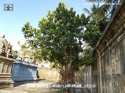 நமது பாவங்கள், தீவினைகளை அகற்றும் சௌந்தரேஸ்வரர் கோவில், திருநாரையூர்