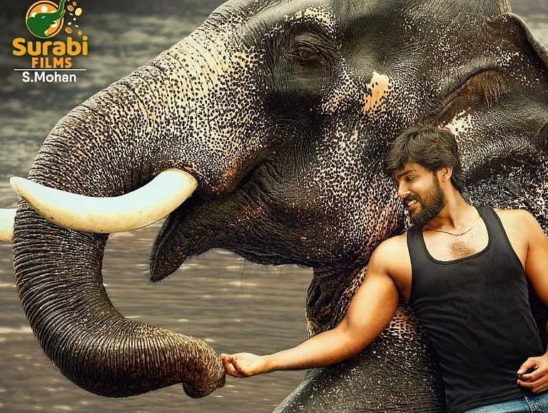 ஆரவ் நடிக்கும் ராஜபீமா