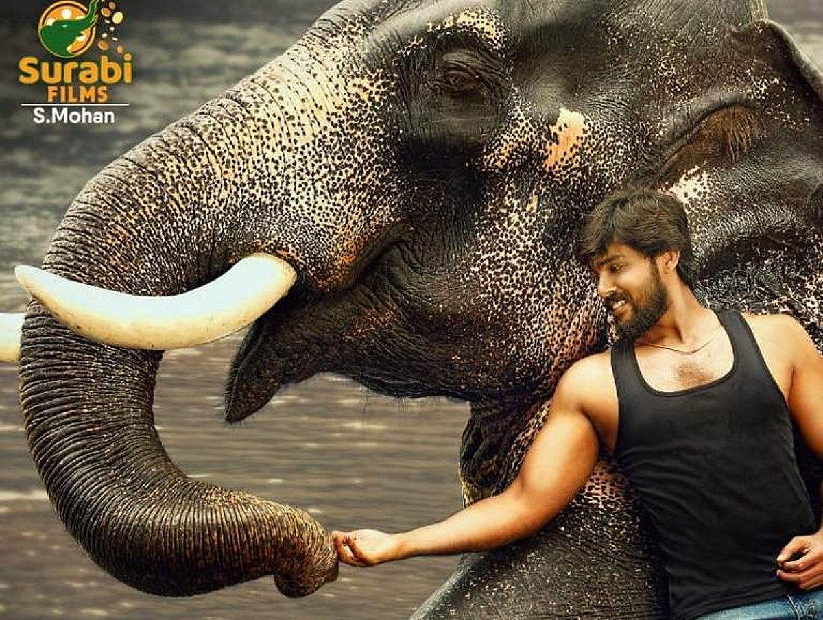 ஆரவ் நடிக்கும் ராஜபீமா