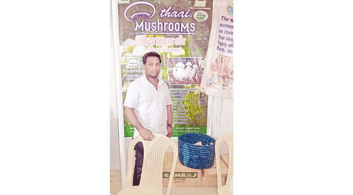 பொறியியல் போனது காளான் வந்தது!