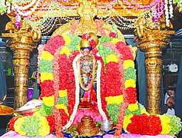 மார்கழி வழிபாடு: திருப்பாவை, திருவெம்பாவை - பாசுரம் 30