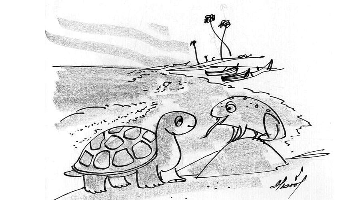 கதைப் பாடல்!: ஆமையின் அடக்கம்!