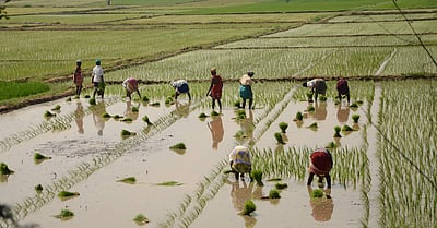 அத்தியாயம் - 19