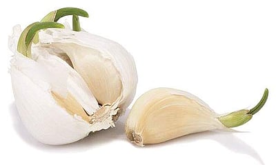 புற்றுநோய் ஏற்படும் அபாயத்தை குறைக்கும் இதனை இனி தூக்கி எறியாதீர்கள்!