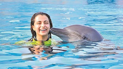 கண்டதும் காதல் என்று சொல்வதை நம்புங்கள்! இன்ஸ்டாகிராம் பதிவால் சர்ச்சையில் சிக்கிய த்ரிஷா!