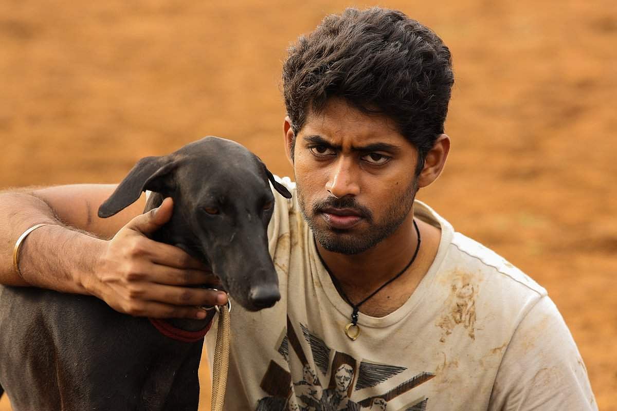 பா. இரஞ்சித் தயாரித்துள்ள ‘பரியேறும் பெருமாள்’ - சினிமா விமரிசனம்