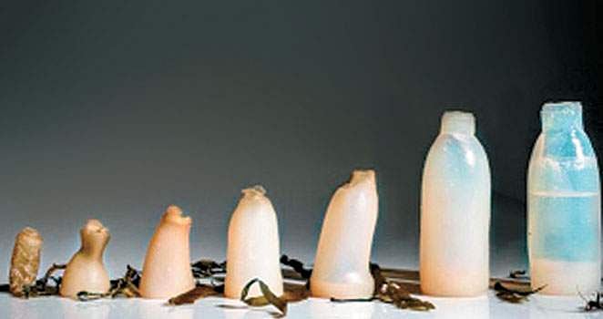 பாராட்டுப் பாமாலை! - 14: நெகிழிக்கு விடை கொடுப்போம்!