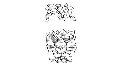 பொன்மொழிகள்