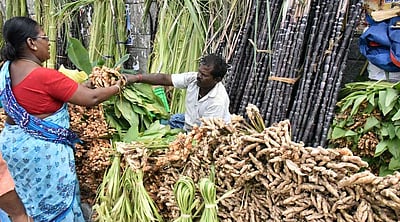 பொங்கலையொட்டி கோயம்பேடு சந்தையில் விற்பனை அதிகரிப்பு