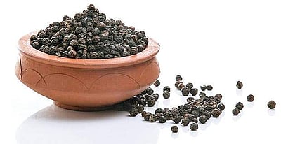 ஒரே ஒரு  மிளகு போதும் இந்த குளிர்காலத்தை கடந்துவிடலாம்!