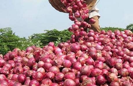 சதம் அடிக்கும் வெங்காயத்தின் விலை! என்ன காரணம்? எப்போது குறையும்? தீர்வு என்ன?