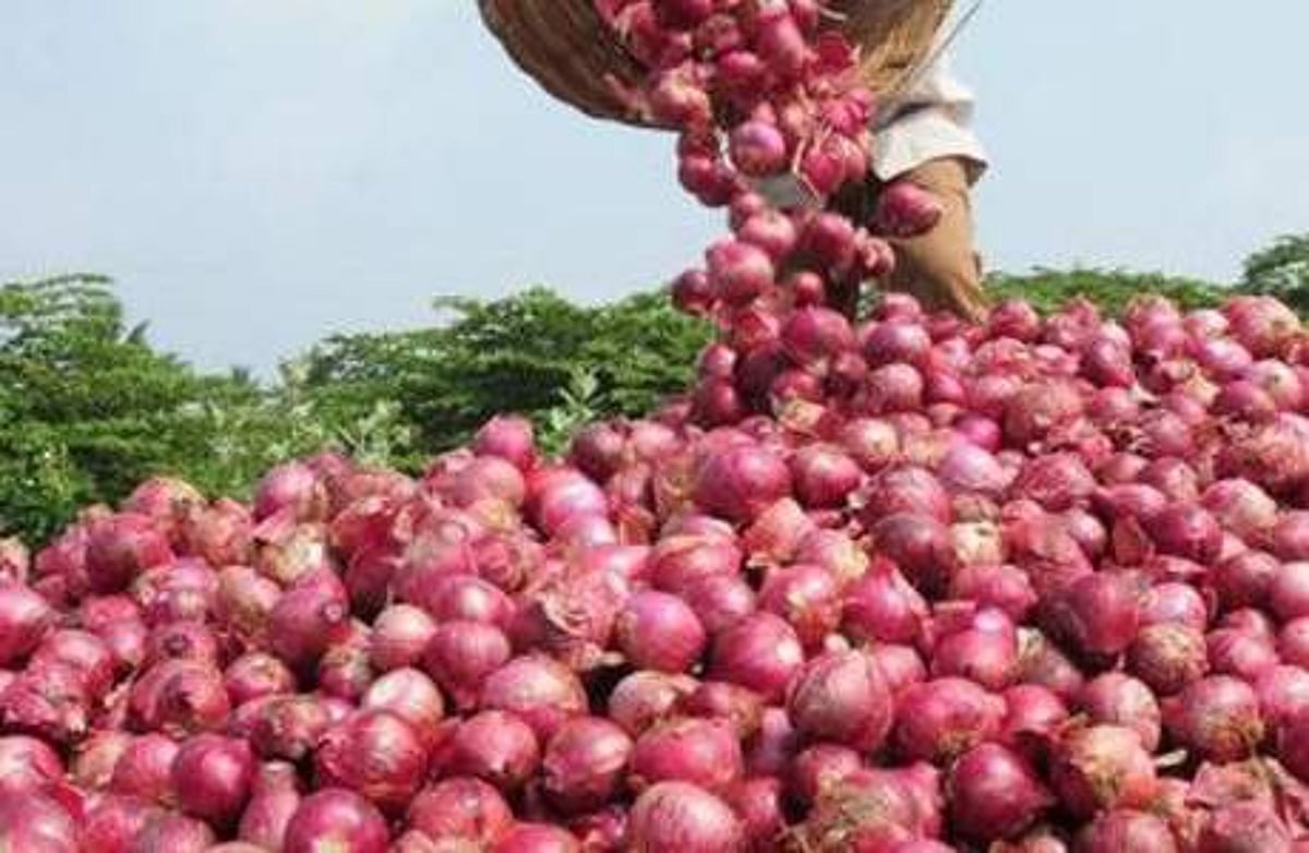 சதம் அடிக்கும் வெங்காயத்தின் விலை! என்ன காரணம்? எப்போது குறையும்? தீர்வு என்ன?