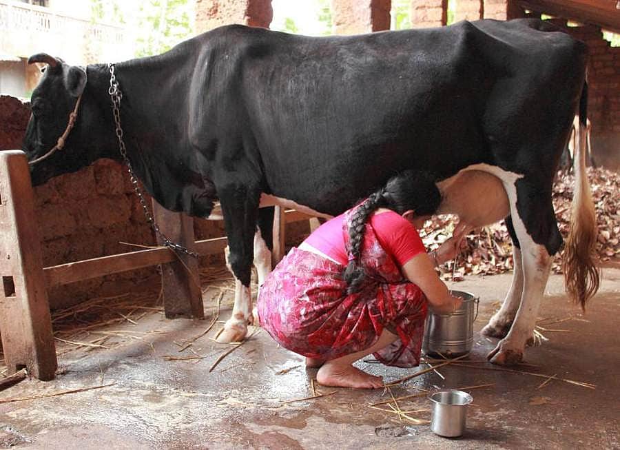 21. பால் மாறாட்டம்